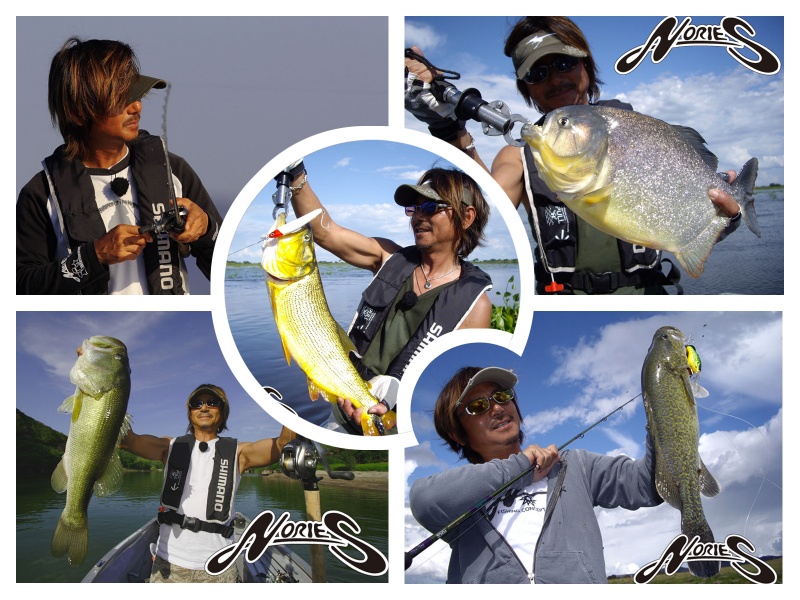 Norio Tanabe, un pêcheur de renommé mondiale avec de belles prises