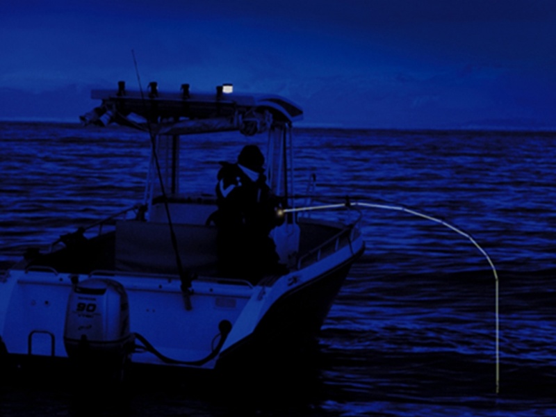 Pêche de nuit Pêche de nuit