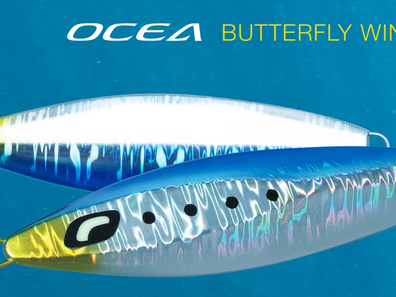 L'Ocea Butterfly, le Slow Jig à la nage papillon