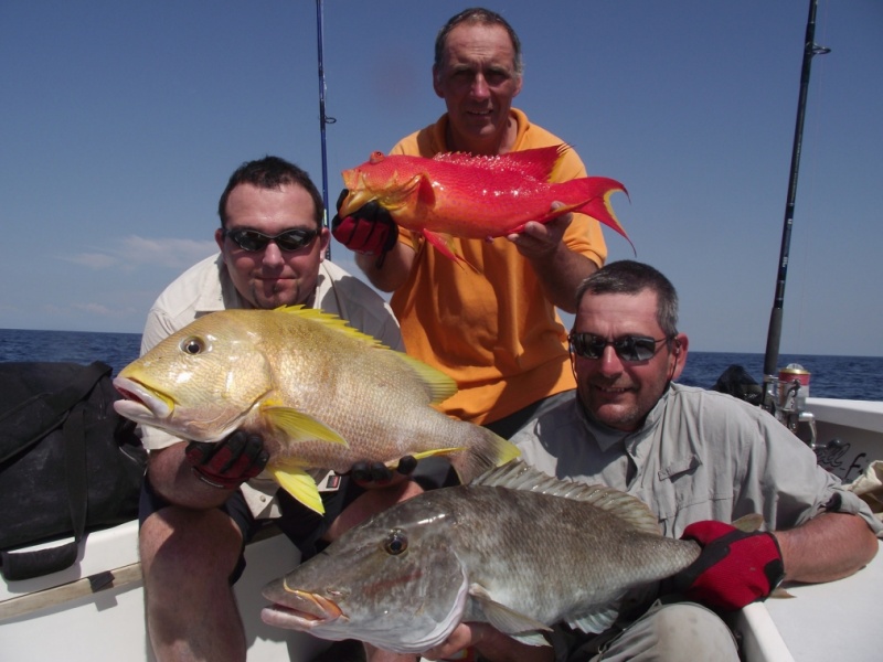 Pêche exotique, magnifiques prises de toutes les couleurs