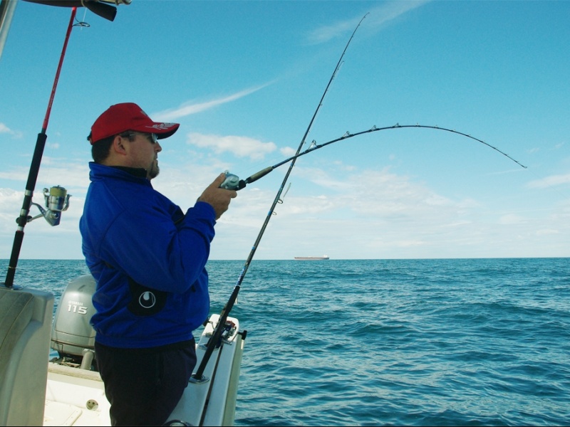 Pêche du pagre au madaï jig