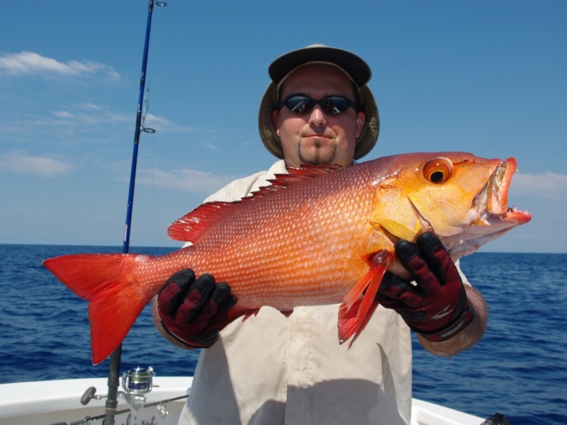 a madagascar les poissons sont incroyablement beaux a madagascar les poissons sont incroyablement beaux