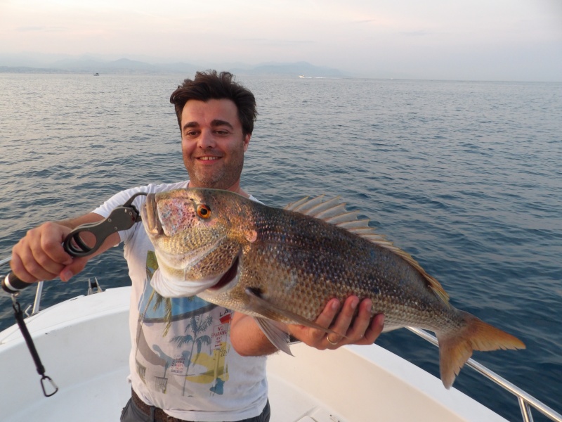 Ce denti a mordu sur un severeau trainé à 30 m de profondeur grâce à la technique du downrigger Ce denti a mordu sur un severeau trainé à 30 m de profondeur grâce à la technique du downrigger