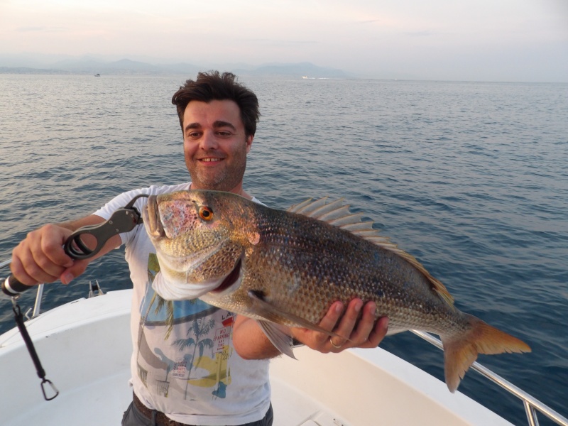 Ce denti a mordu sur un severeau trainé à 30 m de profondeur grâce à la technique du downrigger