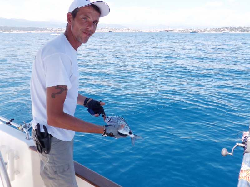 Cette fois-ci Fabien utilise en vif une petite oblade sur un montage steward composé de 2 hameçons Cette fois-ci Fabien utilise en vif une petite oblade sur un montage steward composé de 2 hameçons
