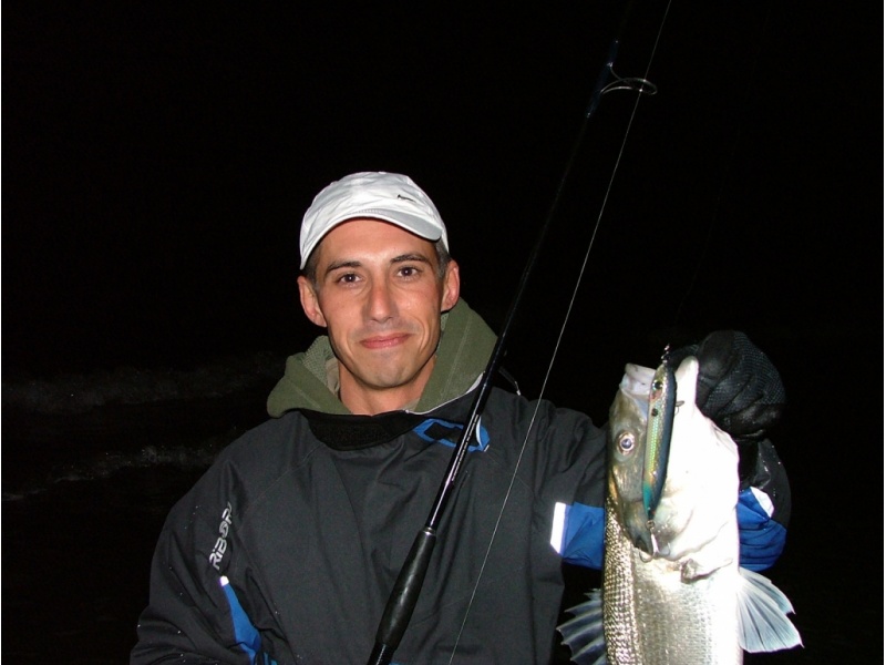 Peche au loup avec un Spook Heddon un régal 