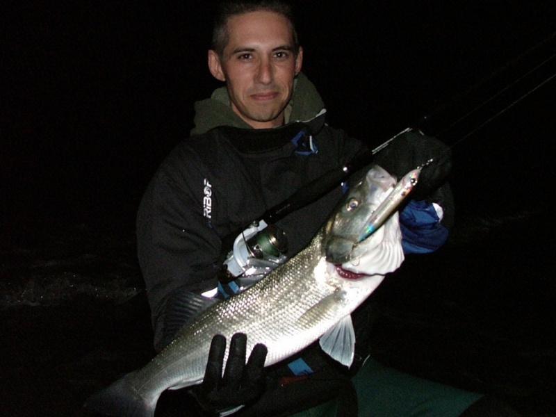 Peche au loup avec un Spook Heddon Peche au loup avec un Spook Heddon