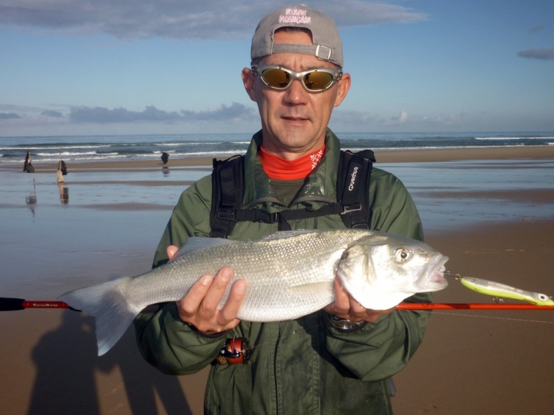 pêche bar dans les baïnes avec patchinko