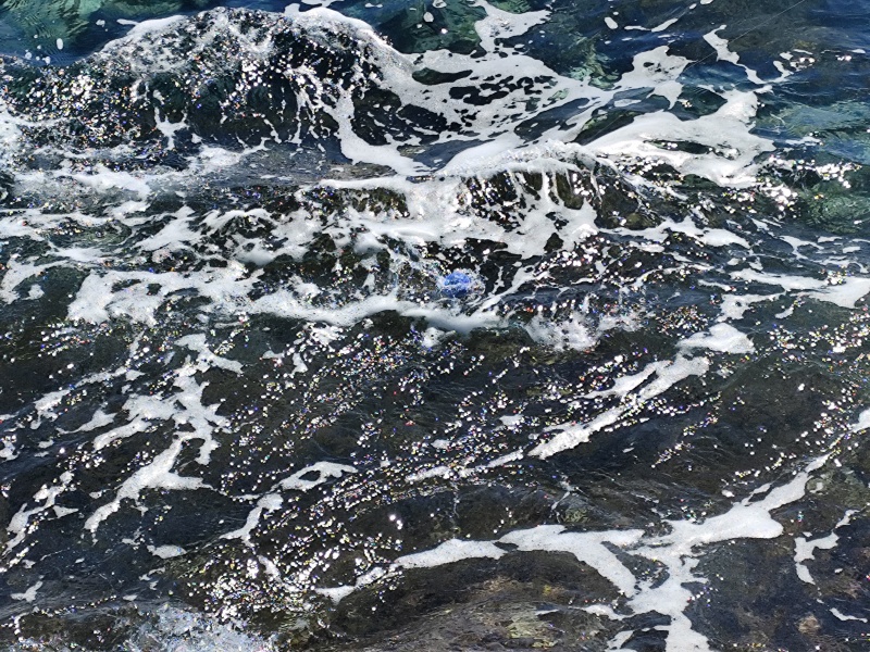 Pêche au buldo dans les vagues Pêche au buldo dans les vagues