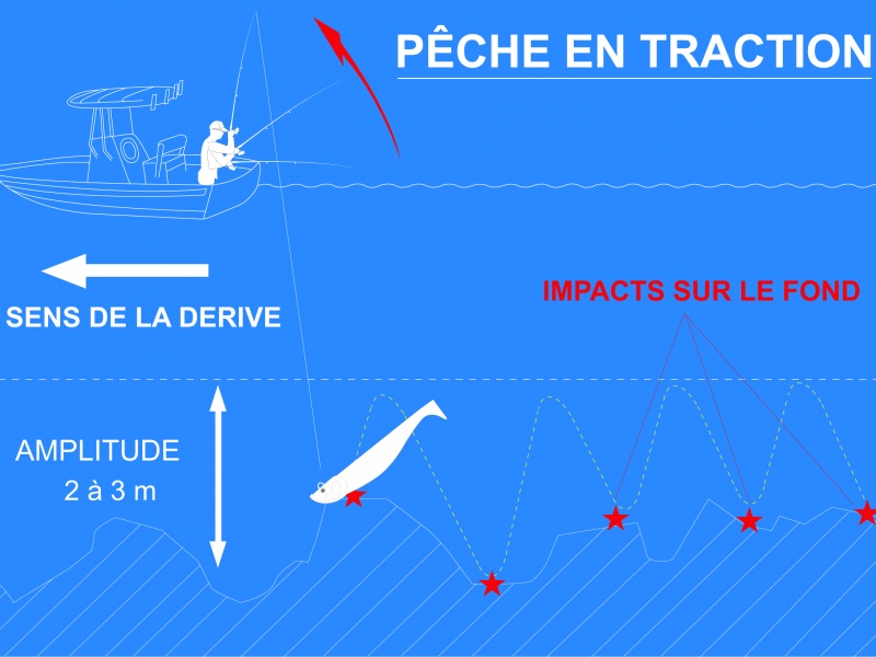 Schéma pêche au shad en traction Schéma pêche au shad en traction
