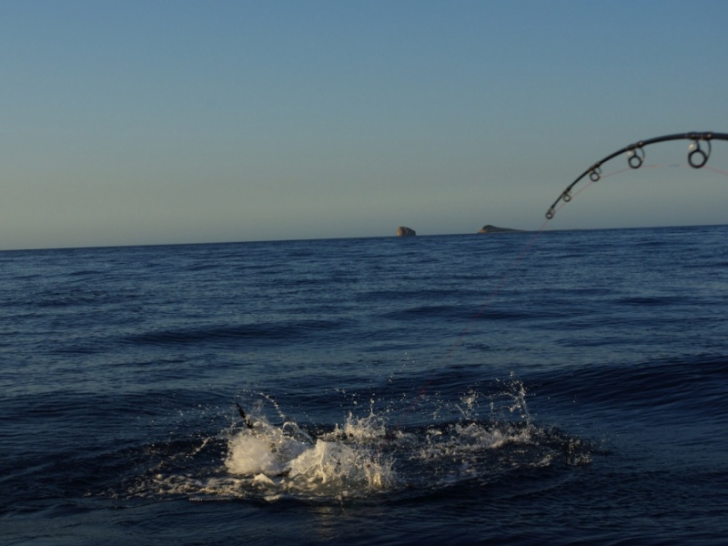 Madagascar : pêche exotique avec un baudrier