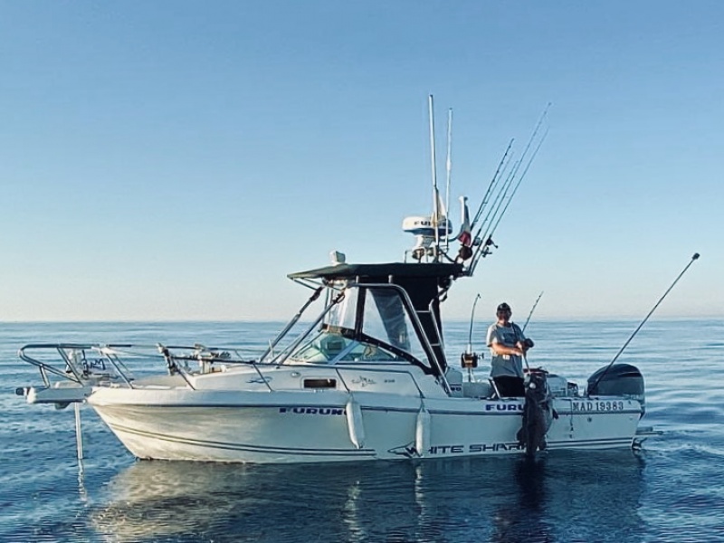 Pêche profonde d'un cernier au moteur Minn Kota Pêche profonde d'un cernier au moteur Minn Kota