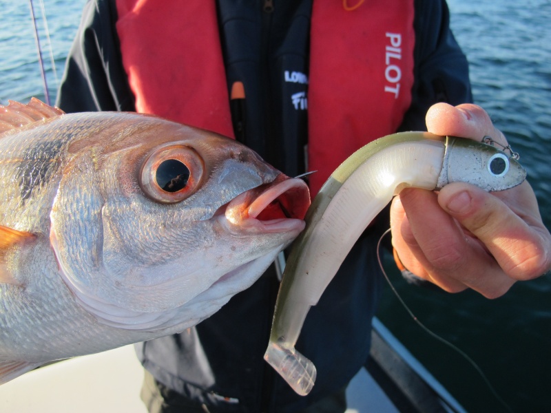 Même les « beaux yeux » adorent le Black minnow ! Même les « beaux yeux » adorent le Black minnow !