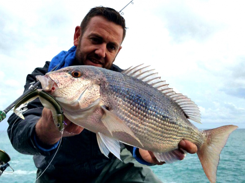 Denti de 1,5 kg au Black Minnow pris en Méditerranée