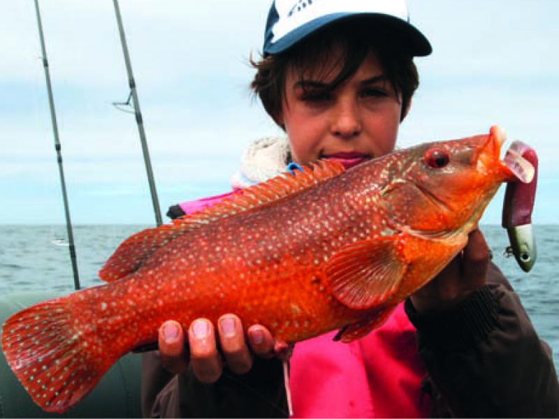 Belle vieille d’Atlantique, au black minnow