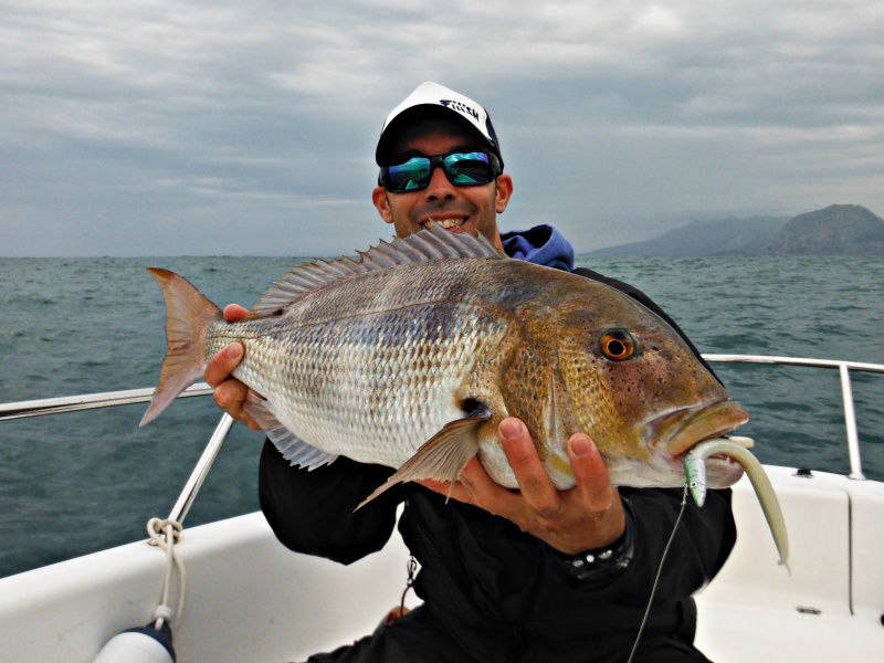 Denti de 2.5 kg au Crazy Sand Eel