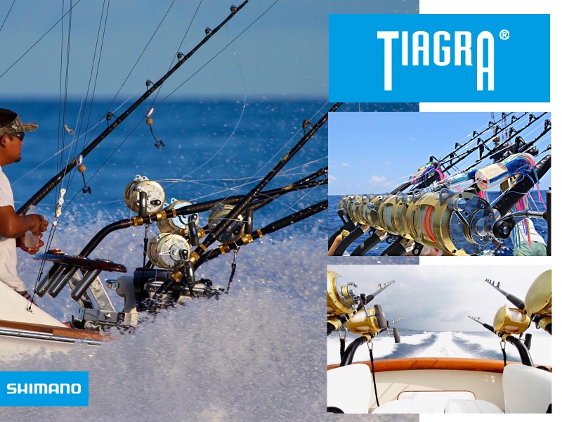 Tiagra, le moulinet de traîne de référence, d'une robustesse incroyable, impossible de l'abîmer en pêche Tiagra, le moulinet de traîne de référence, d'une robustesse incroyable, impossible de l'abîmer en pêche