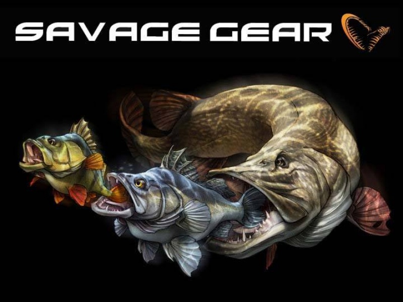 Savage Gear est une marque unique et très respecté dans la pêche des carnassiers.