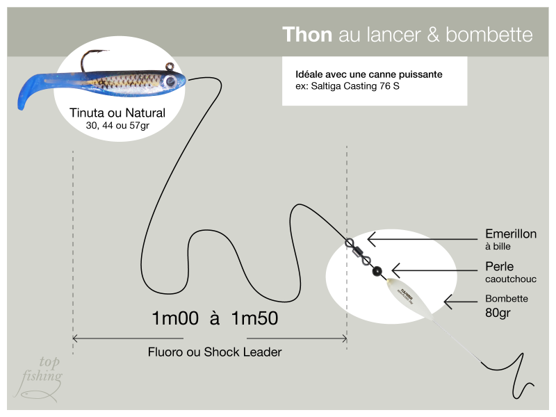 Canne Saltiga 76 S, montage thon au lancer avec bombette (schéma) Canne Saltiga 76 S, montage thon au lancer avec bombette (schéma)