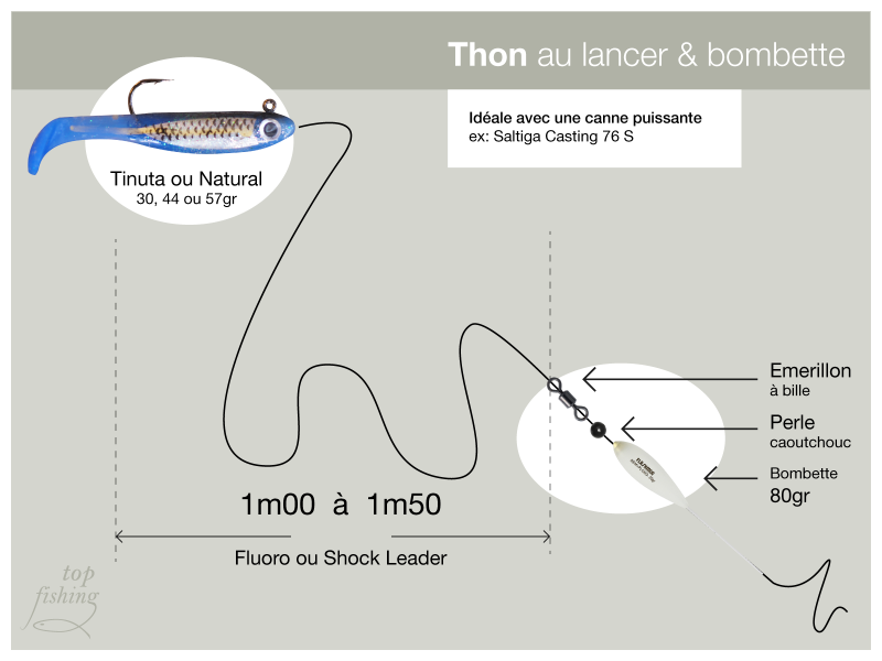 Canne Saltiga 76 S, montage thon au lancer avec bombette (schéma)