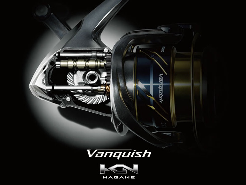 Infographie vanquish 2016 Infographie vanquish 2016