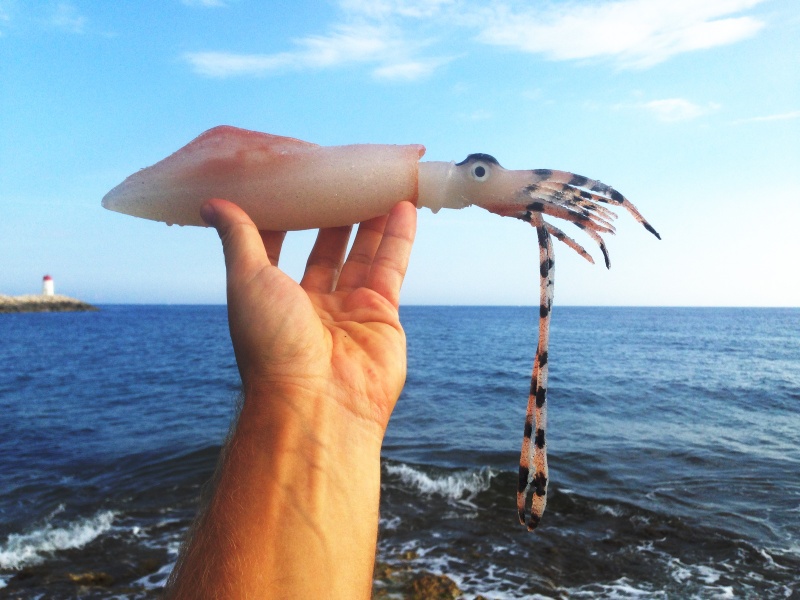 Le Krak de SquidArt prend la pose Le Krak de SquidArt prend la pose