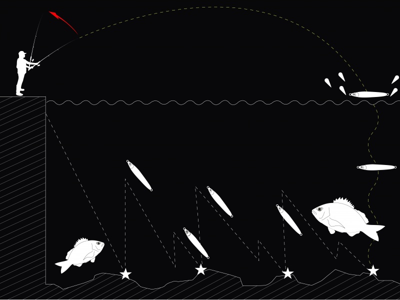 Une animation en dent de scie permet de toucher les espèces vivant prés du fond