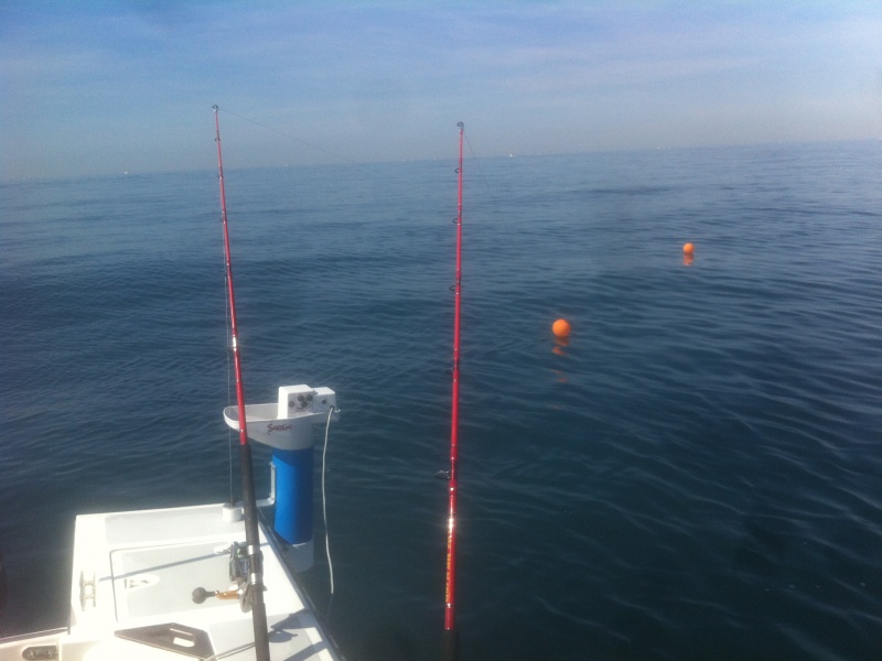 Pêche au thon avec une Giga Red Super Tank Pêche au thon avec une Giga Red Super Tank