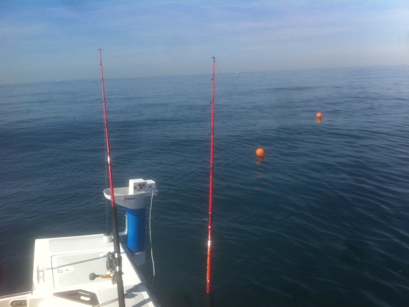 Pêche au thon avec une Giga Red Super Tank