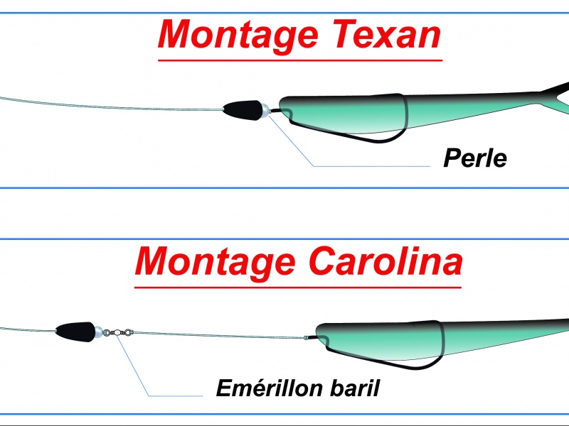 Les montages Texan et Carolina Les montages Texan et Carolina