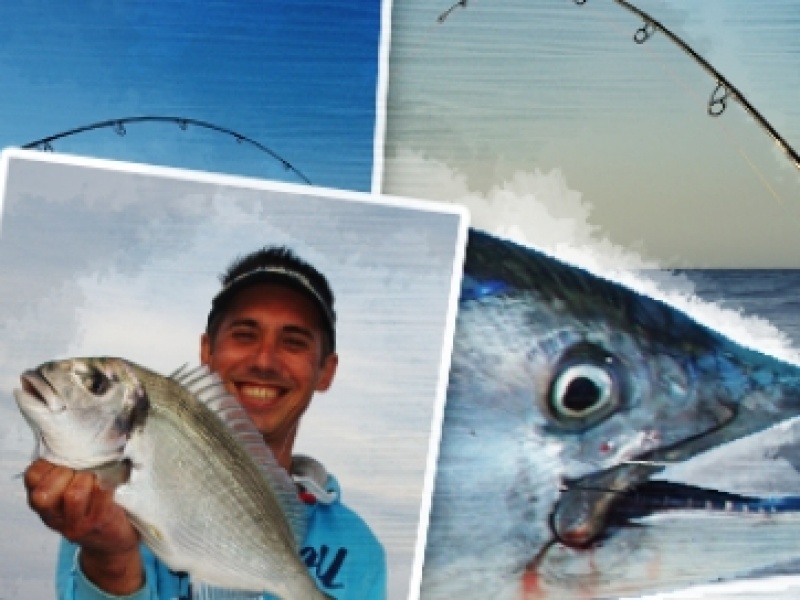 Top 5 Fluorocarbones