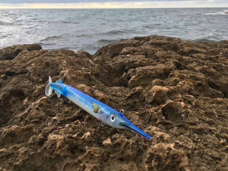 L'orphie 2017 était un franc succès, mais il était devenu impossible de s'approvisionner. L'orphie Top Sea 2019 arrive ! L'orphie 2017 était un franc succès, mais il était devenu impossible de s'approvisionner. L'orphie Top Sea 2019 arrive !