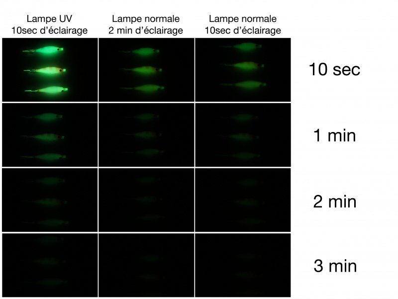 Test Top Fishing : comparons la phosphorescence obtenue avec une lampe classique vs une lampe u.v