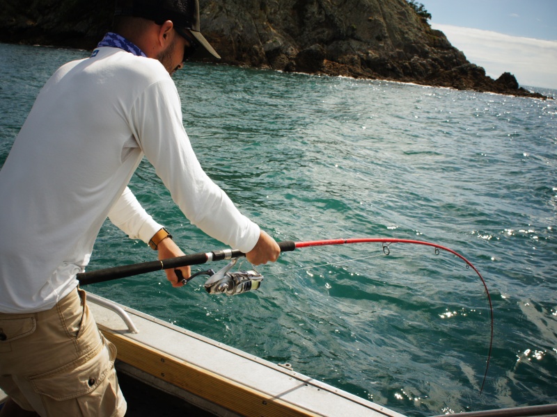 Francois Michon (Team Tenryu) en Nouvelle Zelande avec son Injection SP 73 Travel