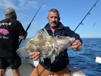 Beau Saint-Pierre pris à l’appât en pêche profonde