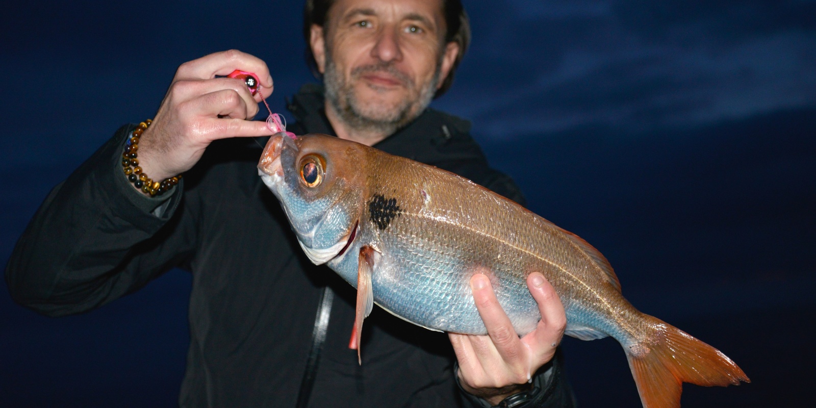 Pouvant atteindre plusieurs kg, la dorade rose est un sparidé très plaisant à pêcher