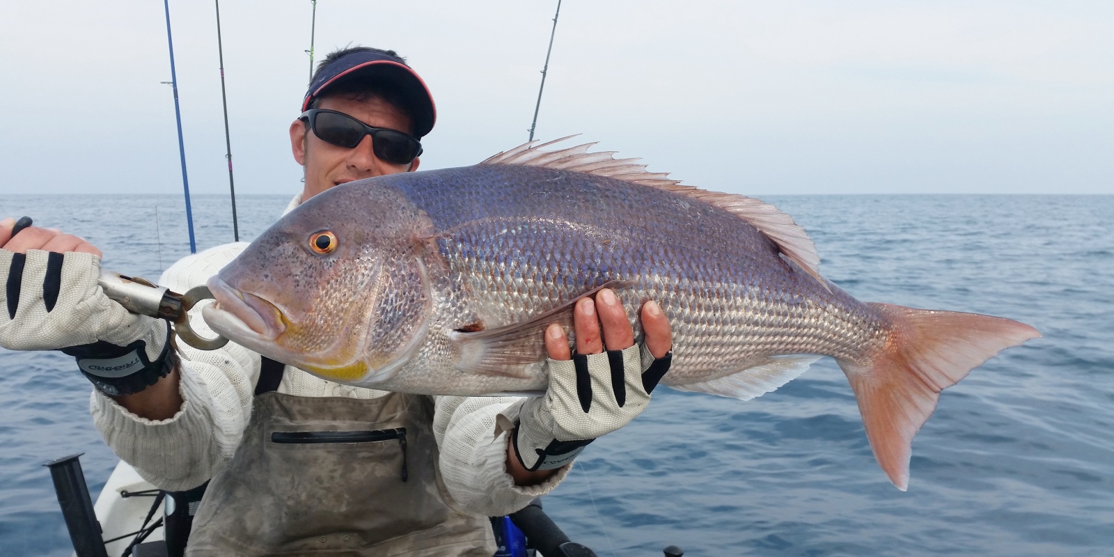 Le Grumpy Fish Glowbite est idéal pour pêcher les sparidés carnassiers tels que ce denti ! Le Grumpy Fish Glowbite est idéal pour pêcher les sparidés carnassiers tels que ce denti !