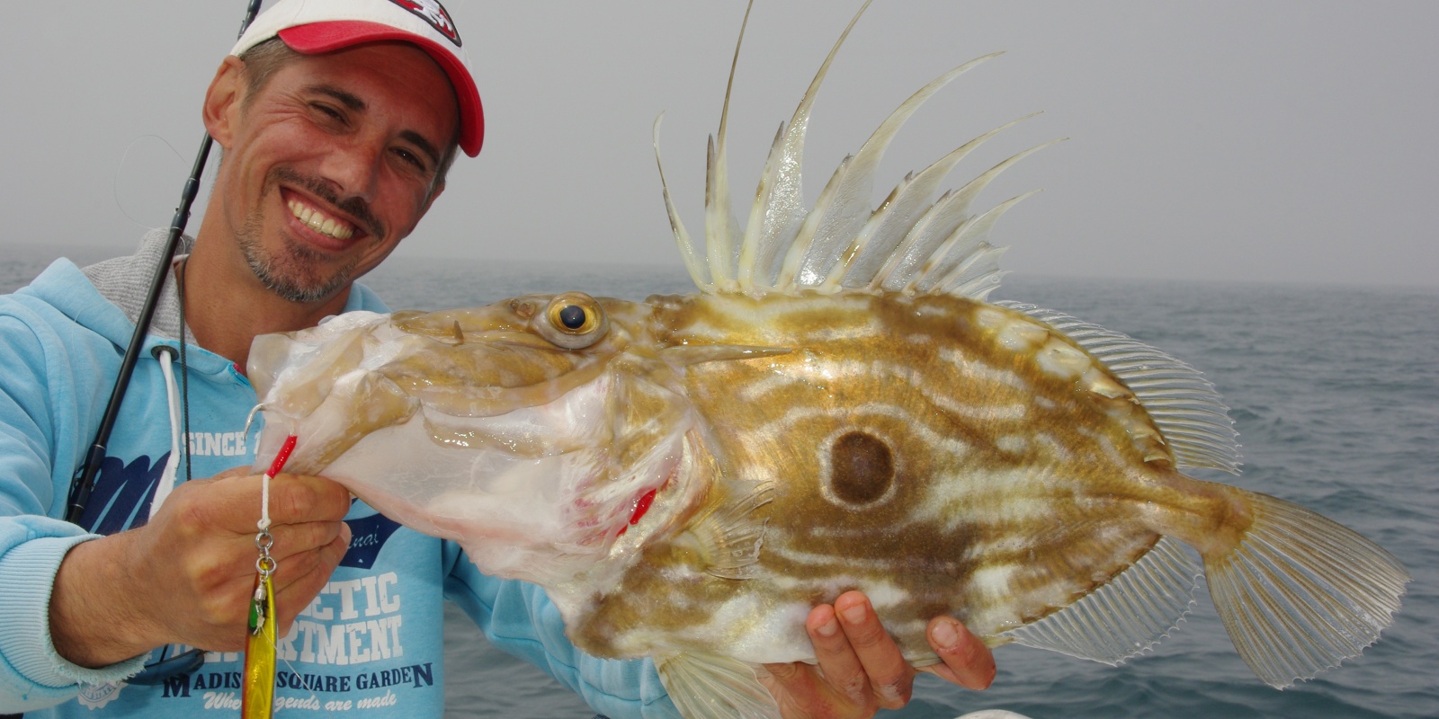 Le Saint-Pierre est un prédateur atypique qui peut aussi bien être pêché à l’appât qu’aux leurres ! 