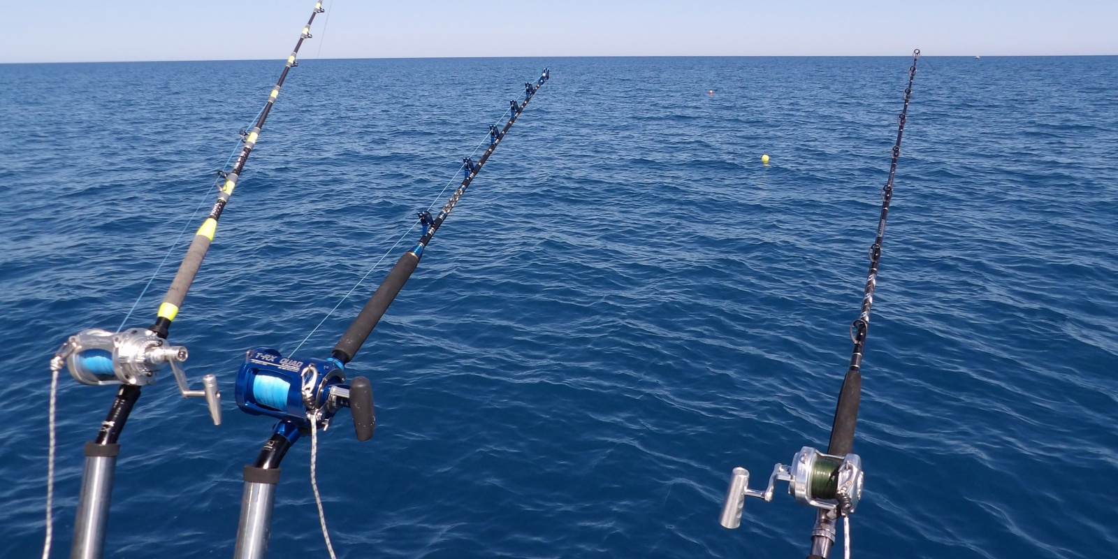 Les cannes en action de pêche au broumé