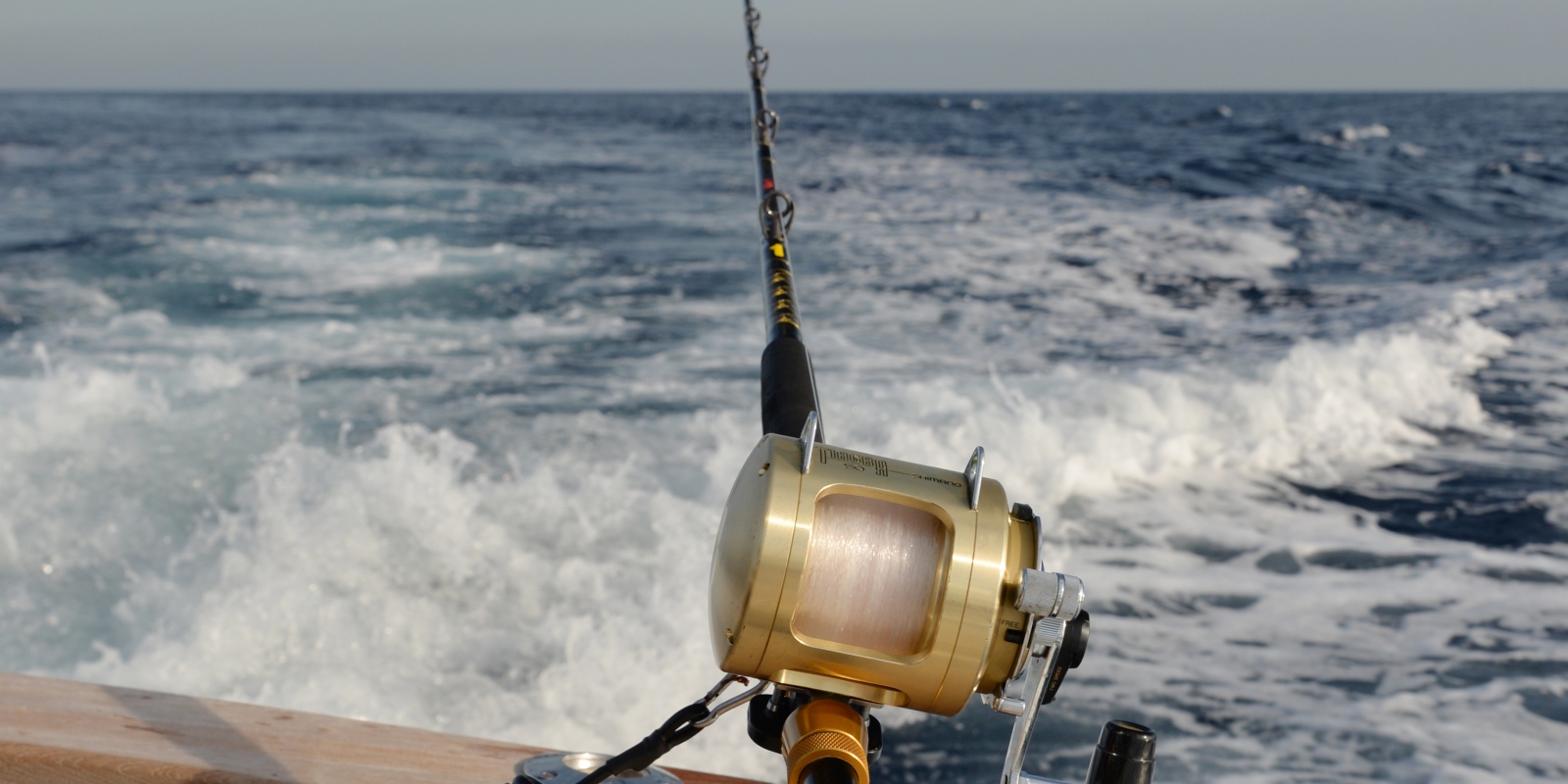 Canne 40 lb en action de traîne à 7 nœuds