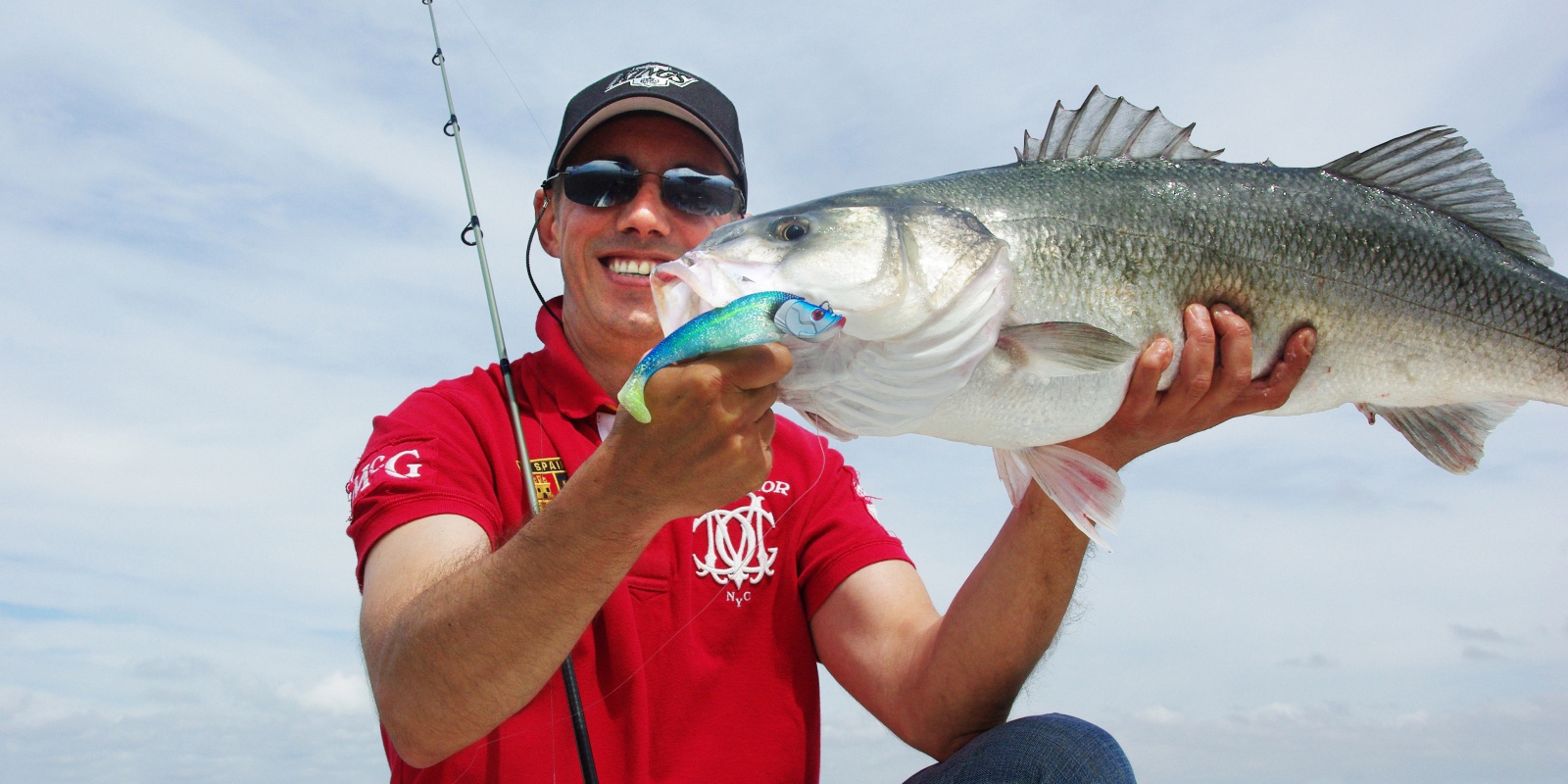 Superbe bar de 7.1 kg pris au shad prémonté en texan Blue Shad Flashmer Superbe bar de 7.1 kg pris au shad prémonté en texan Blue Shad Flashmer