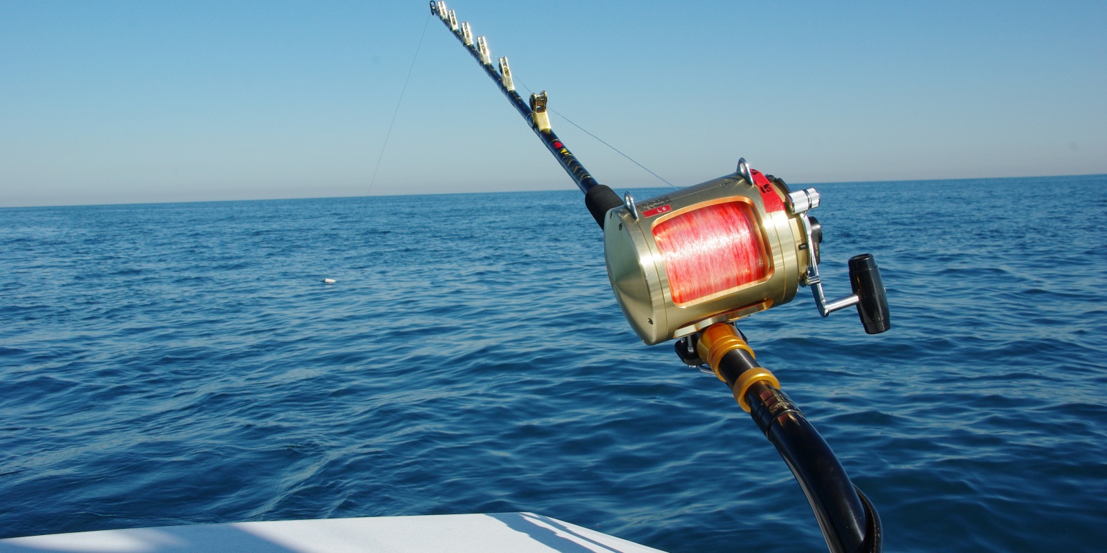 La pêche au broumé permet de toucher les plus beaux spécimens