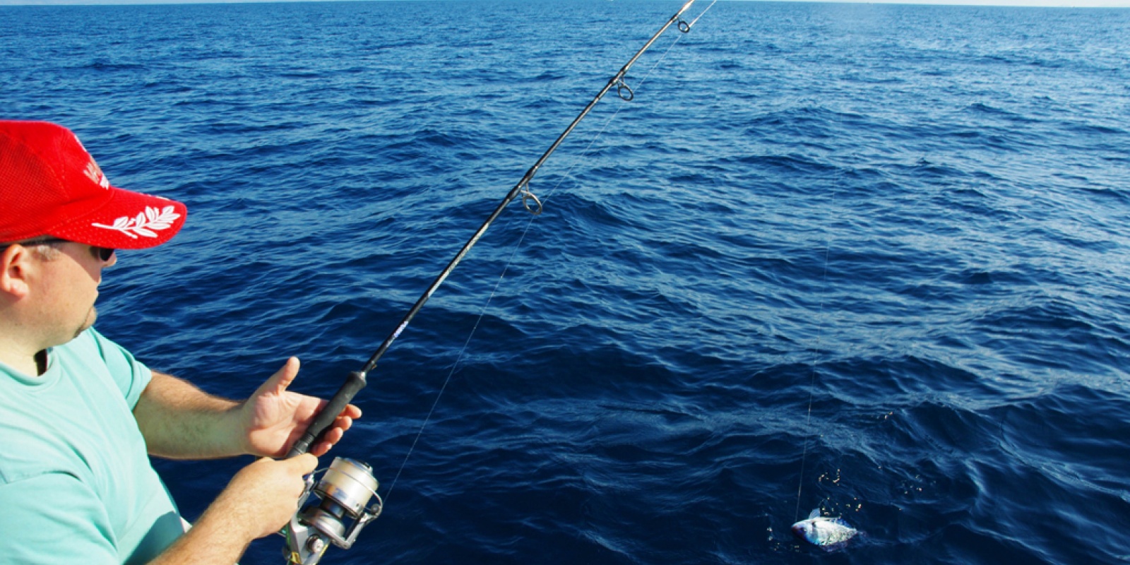 Le combat d’une dorade grise est très intéressant sur ligne fine !