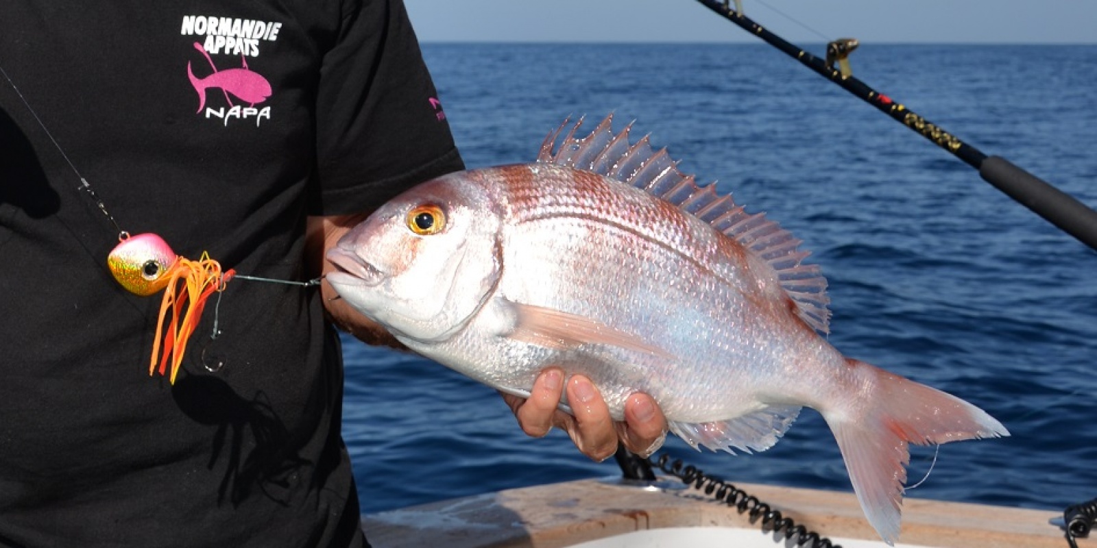 Pagre pris au madaï Maréchal Top Sea