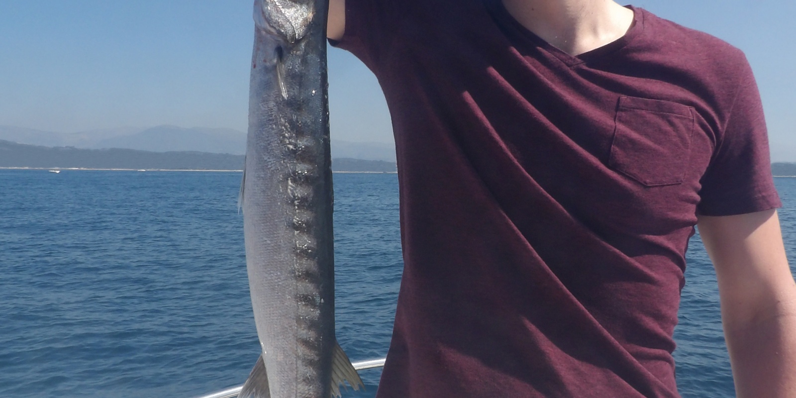 La traîne lente au downrigger permet de toucher du barracuda en pleine journée !