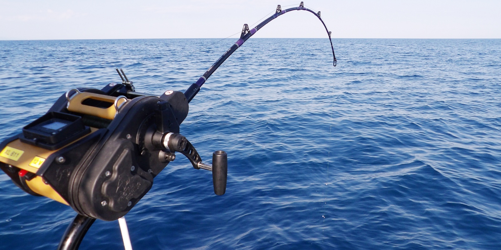 Moulinet électrique XL611 Kristal Fishing en pleine action ! Moulinet électrique XL611 Kristal Fishing en pleine action !