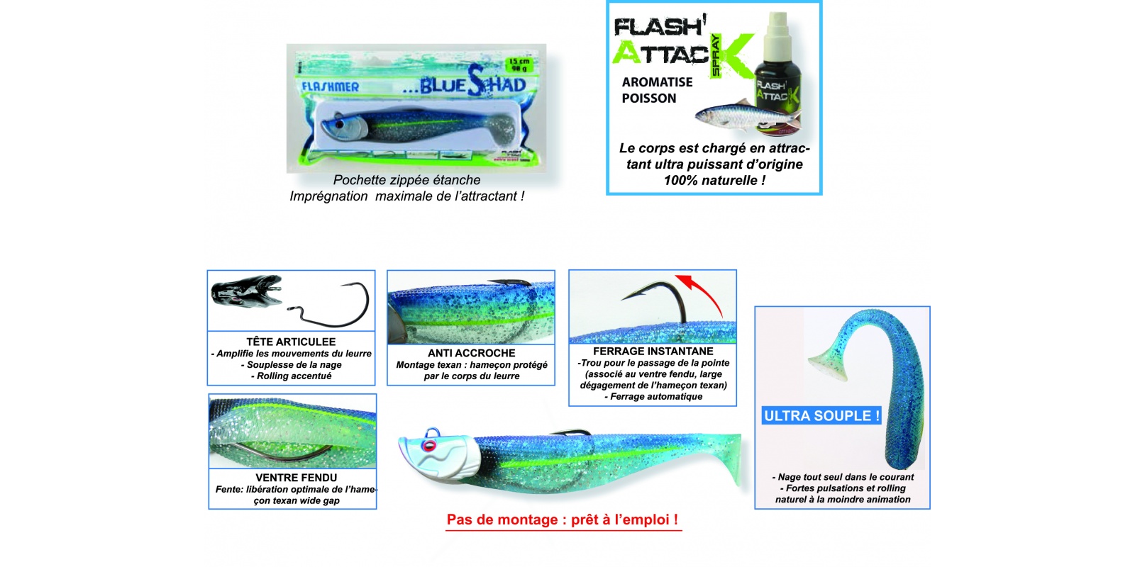 Caractéristiques du Blue Shad