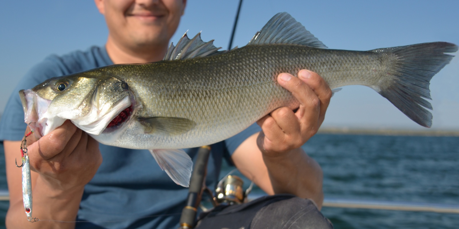 Bar pris en pêche en traction avec un casting jig sur ligne très fine