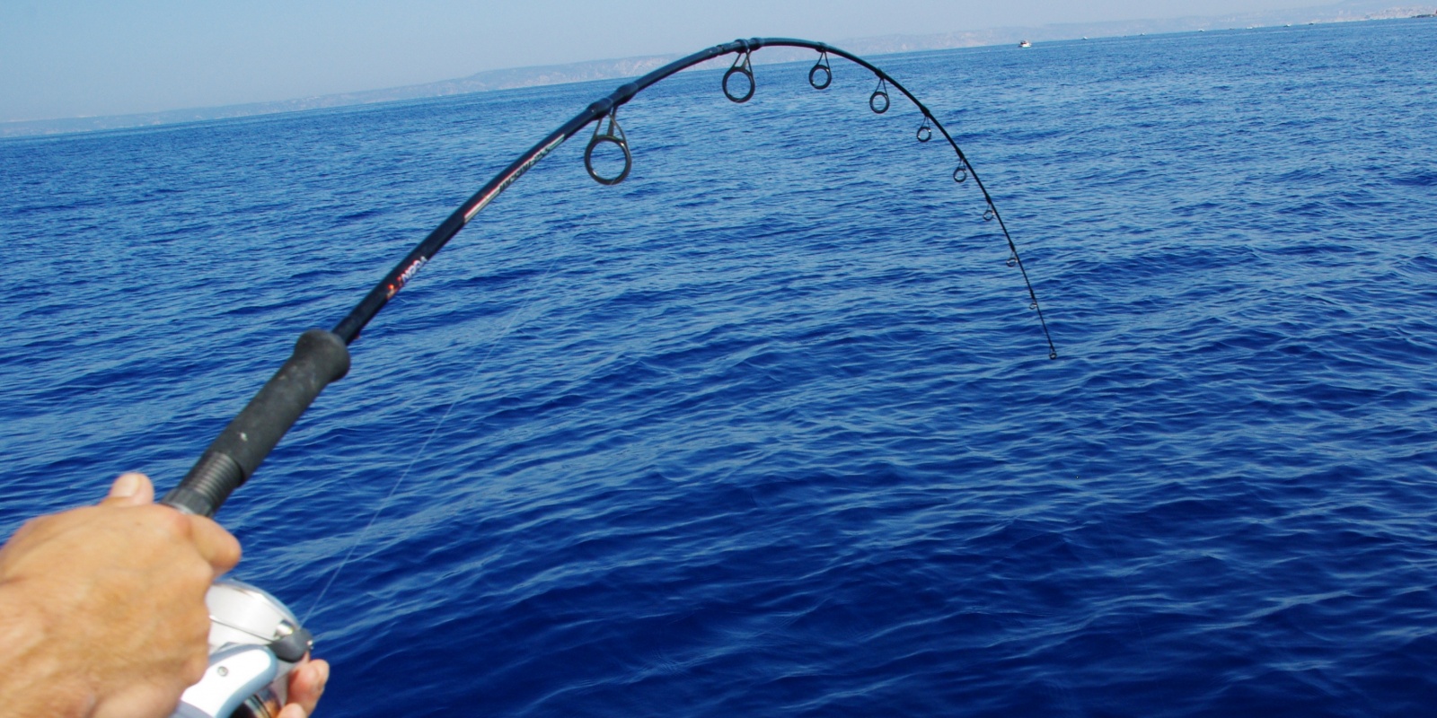 Canne à Pêche à la Ligne