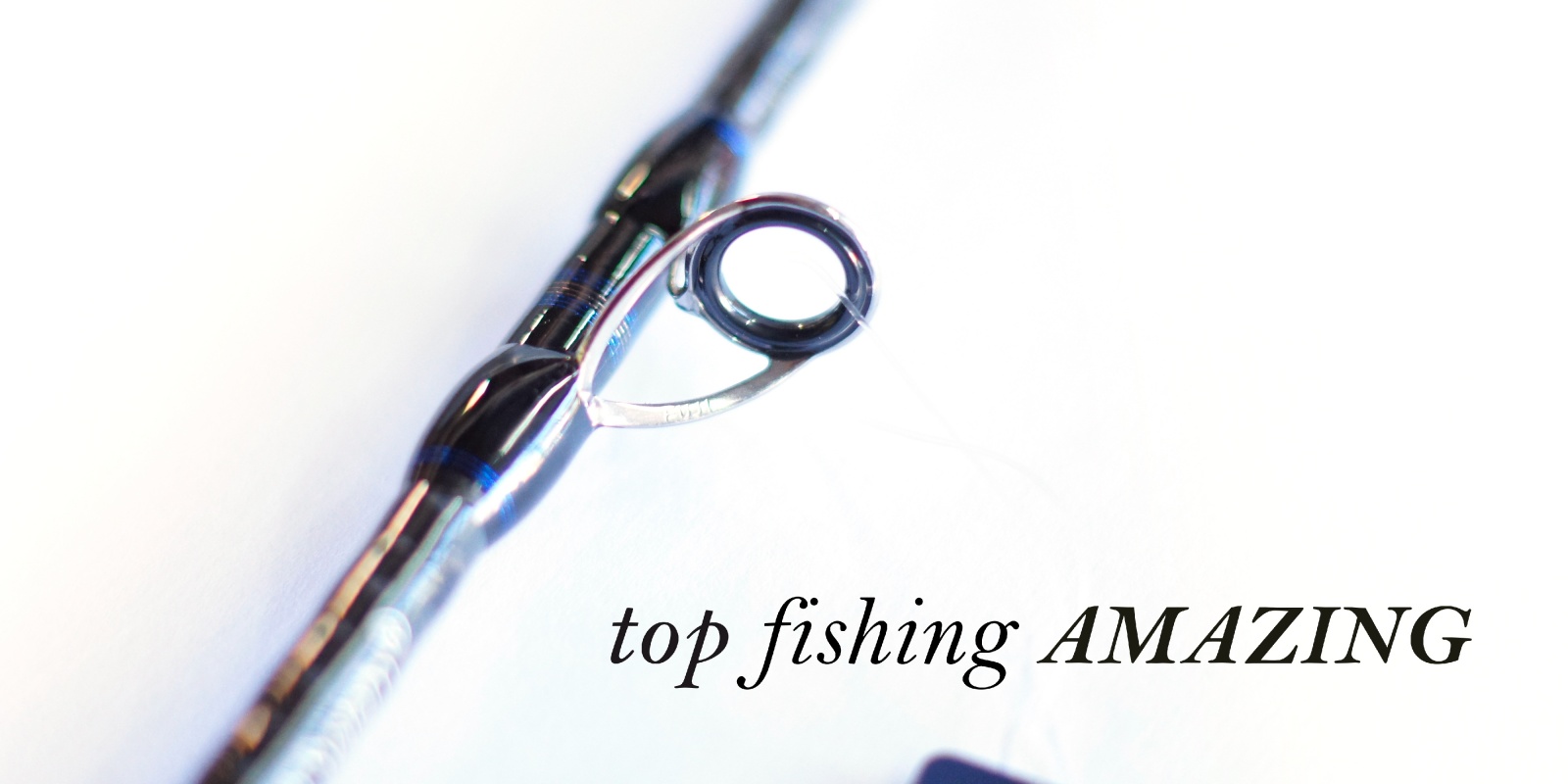 Canne Top Fishing Amazing, des anneaux Fuji Canne Top Fishing Amazing, des anneaux Fuji